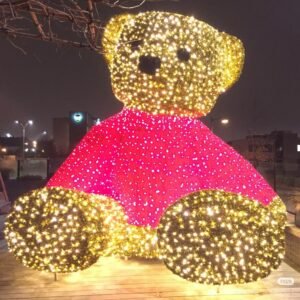 LED Teddy Bear Light Display