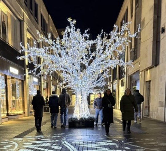 LED Trees & Botanical Lighting