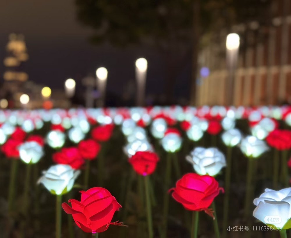 LED Flower Lights